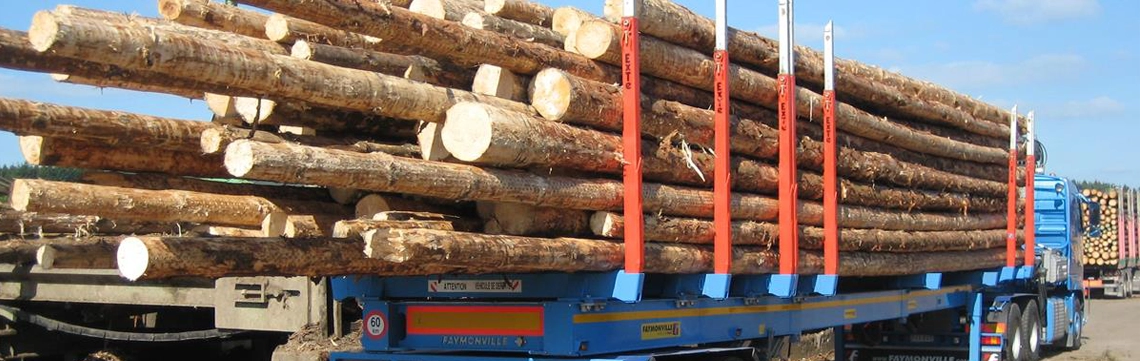 Transport for forestry companies