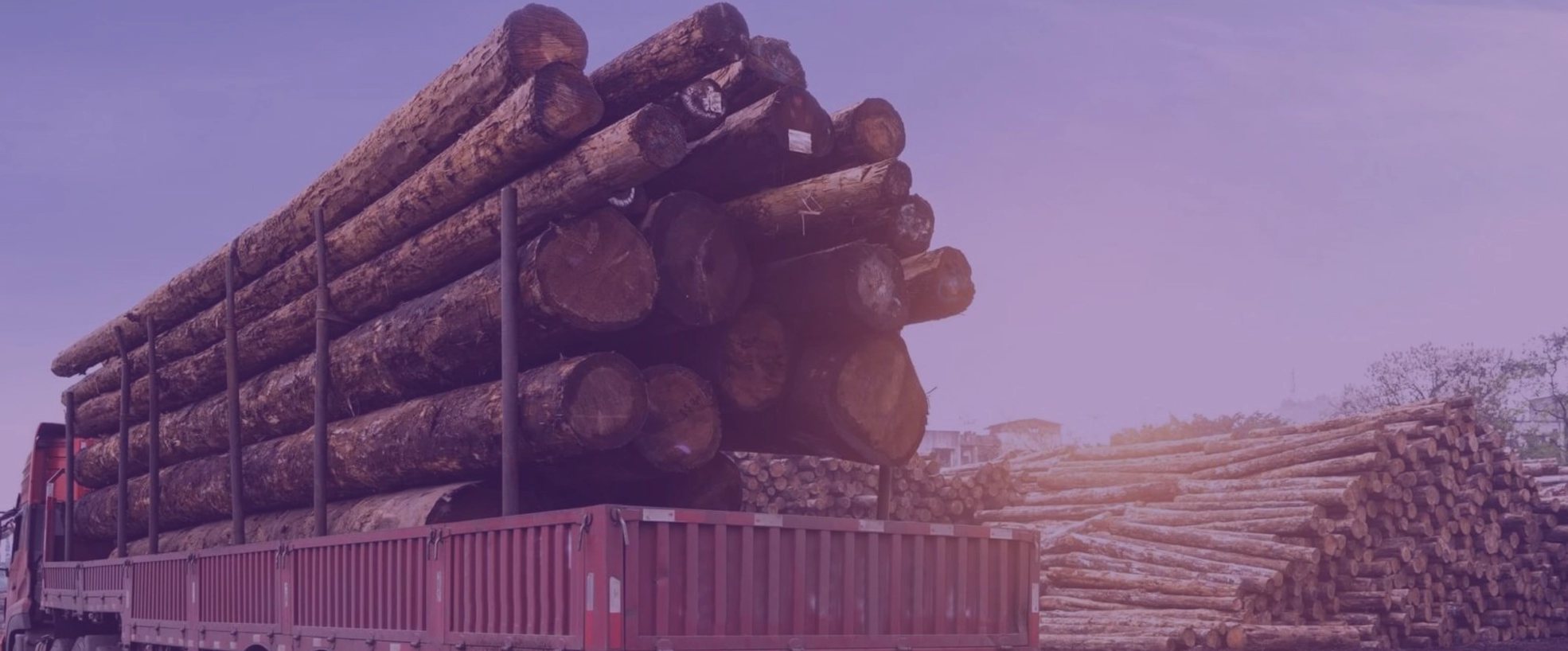 Transport for forestry companies